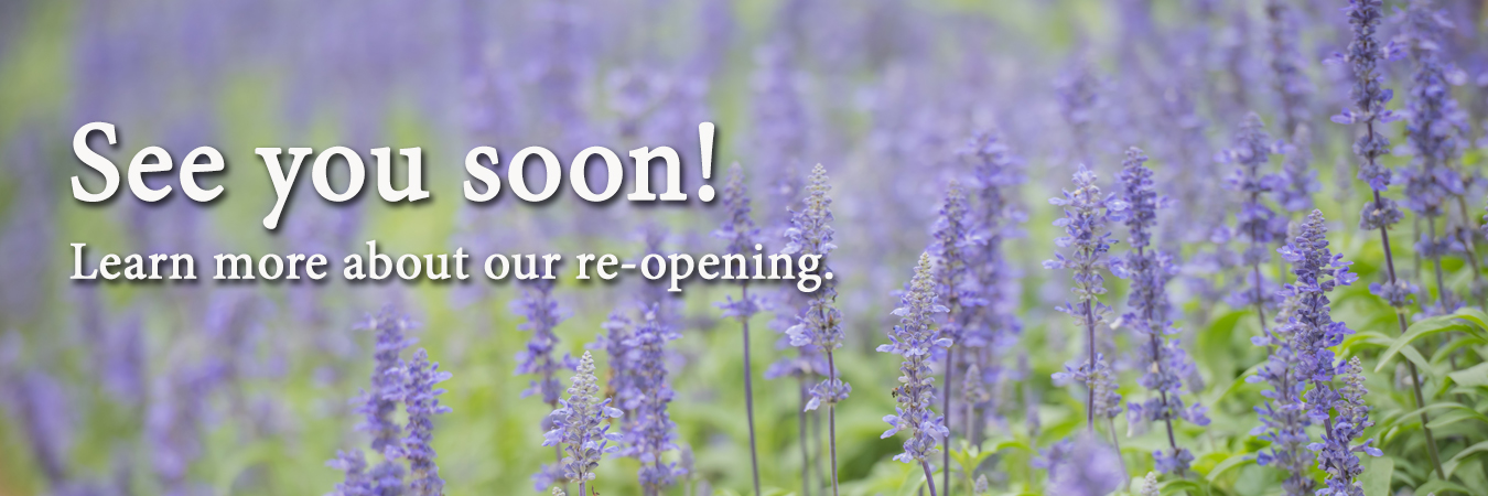 Re Opening Guidelines Infinity Massage And Wellness